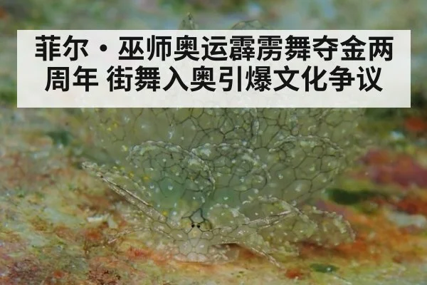 菲尔·巫师奥运霹雳舞夺金两周年 街舞入奥引爆文化争议